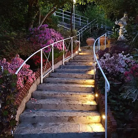Rondini Vescina